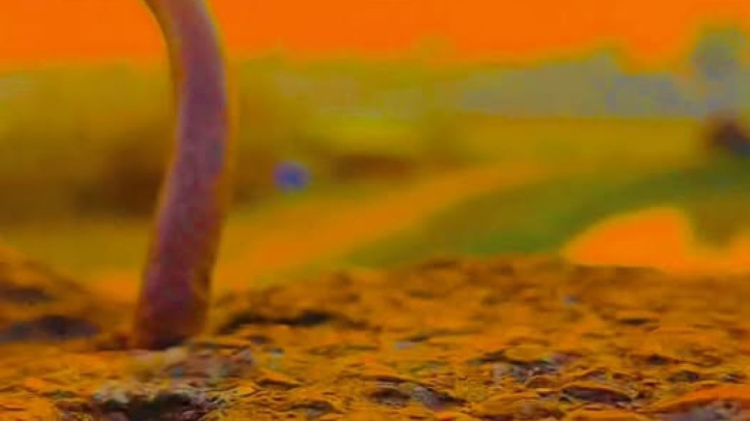 Reallity in life..🙂🥀